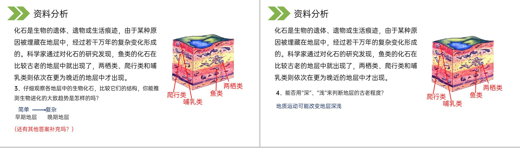 《生物进化的历程》人教版初中生物八年级初二下册PPT课件-5