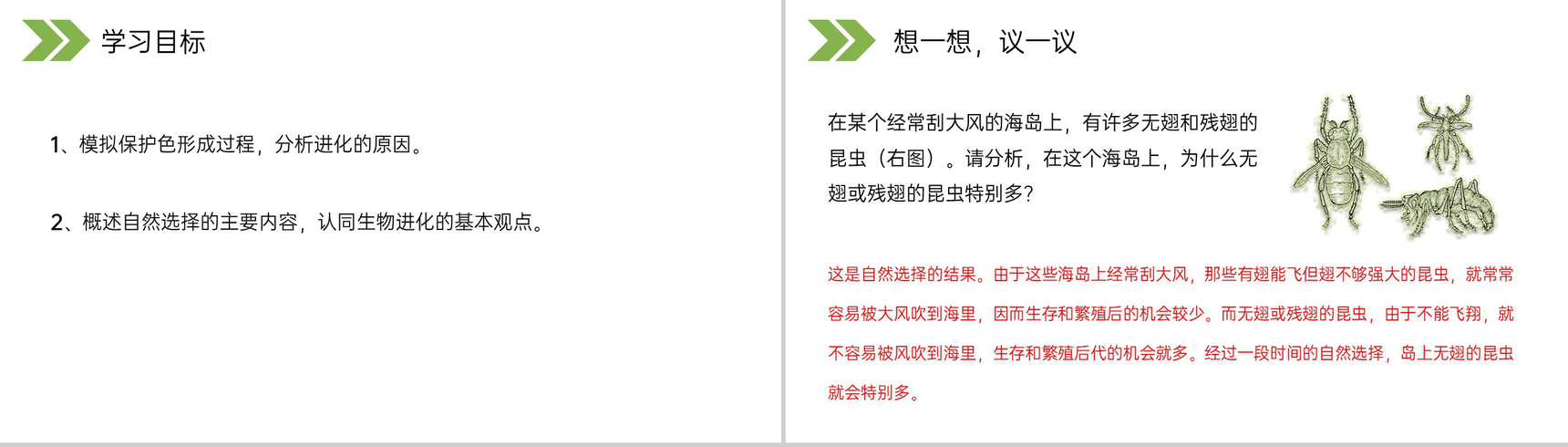 《生物进化的原因》人教版初中生物八年级初二下册PPT课件-2