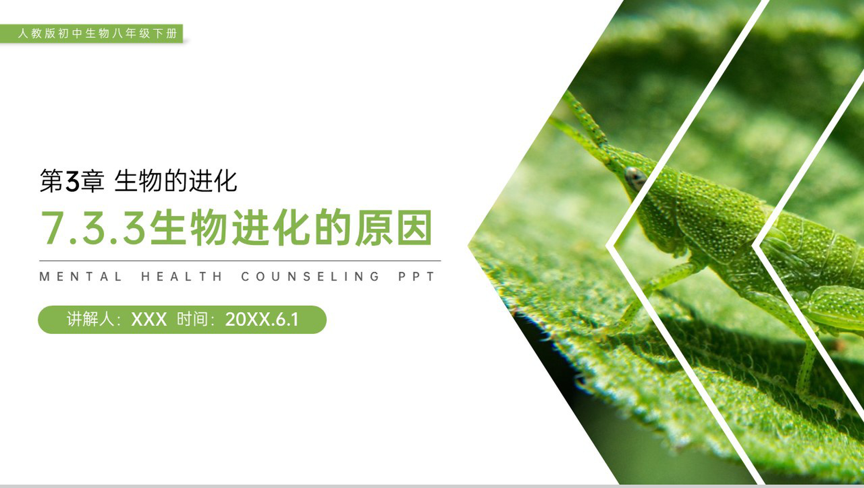 《生物进化的原因》人教版初中生物八年级初二下册PPT课件-1