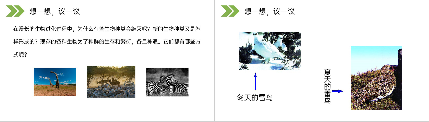 《生物进化的原因》人教版初中生物八年级初二下册PPT课件-3