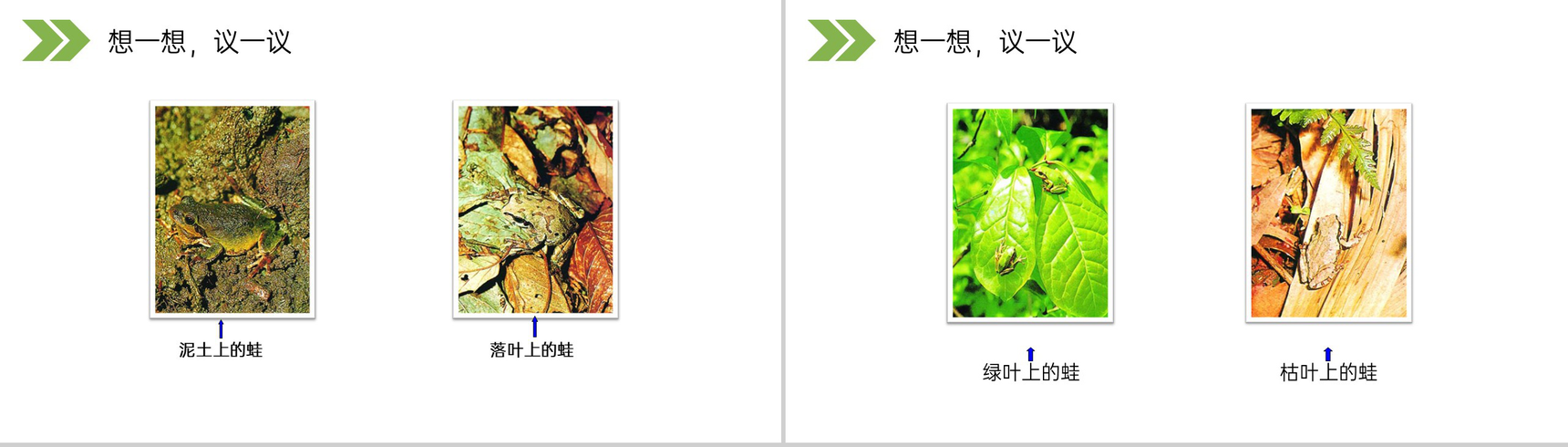 《生物进化的原因》人教版初中生物八年级初二下册PPT课件-4