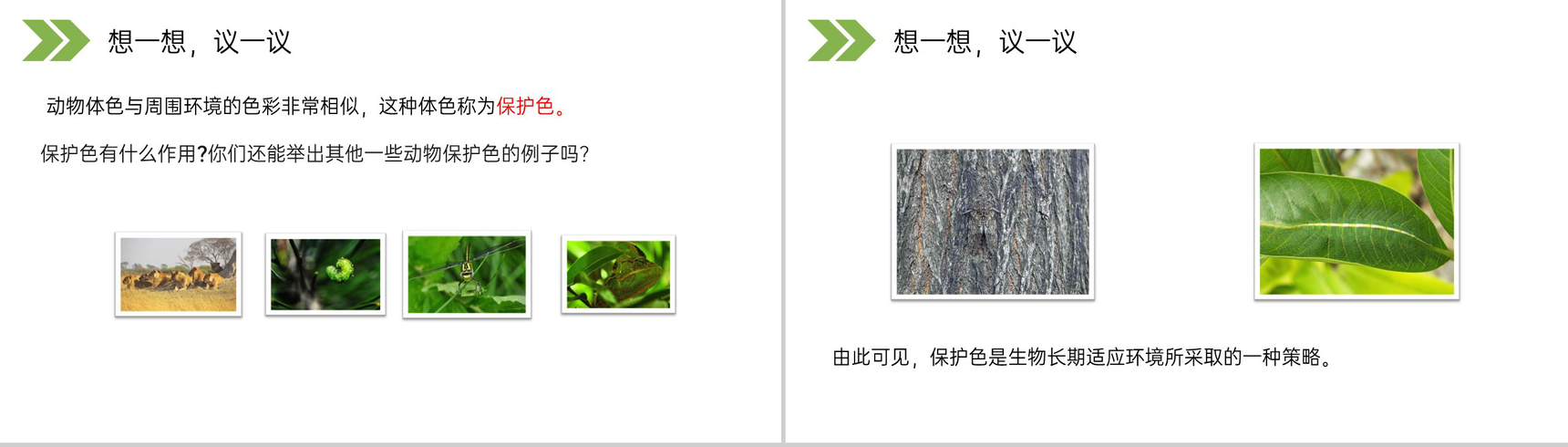 《生物进化的原因》人教版初中生物八年级初二下册PPT课件-5