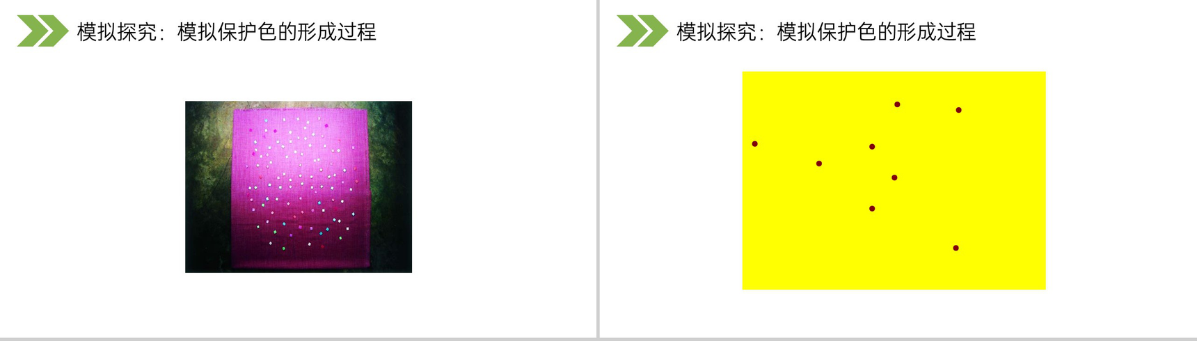 《生物进化的原因》人教版初中生物八年级初二下册PPT课件-8