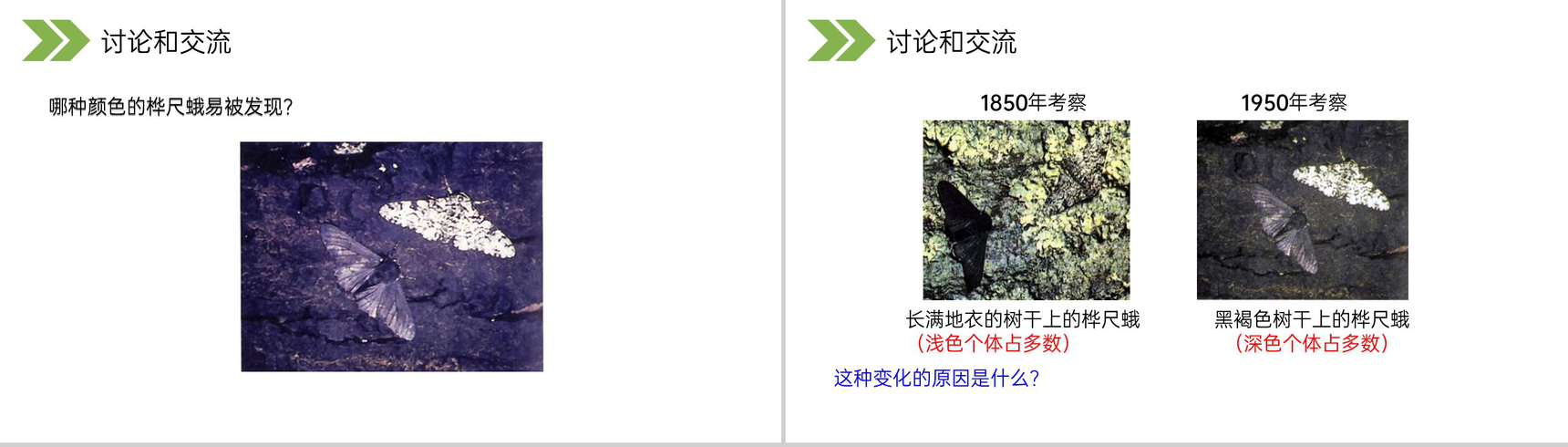 《生物进化的原因》人教版初中生物八年级初二下册PPT课件-11