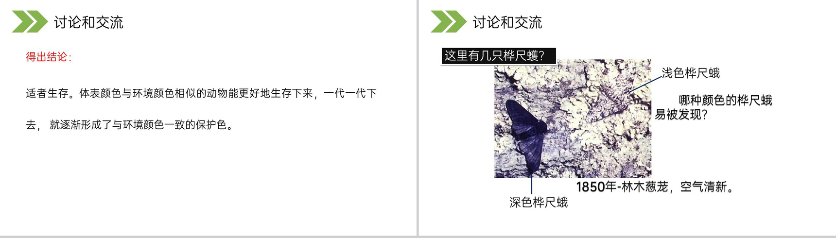 《生物进化的原因》人教版初中生物八年级初二下册PPT课件-10