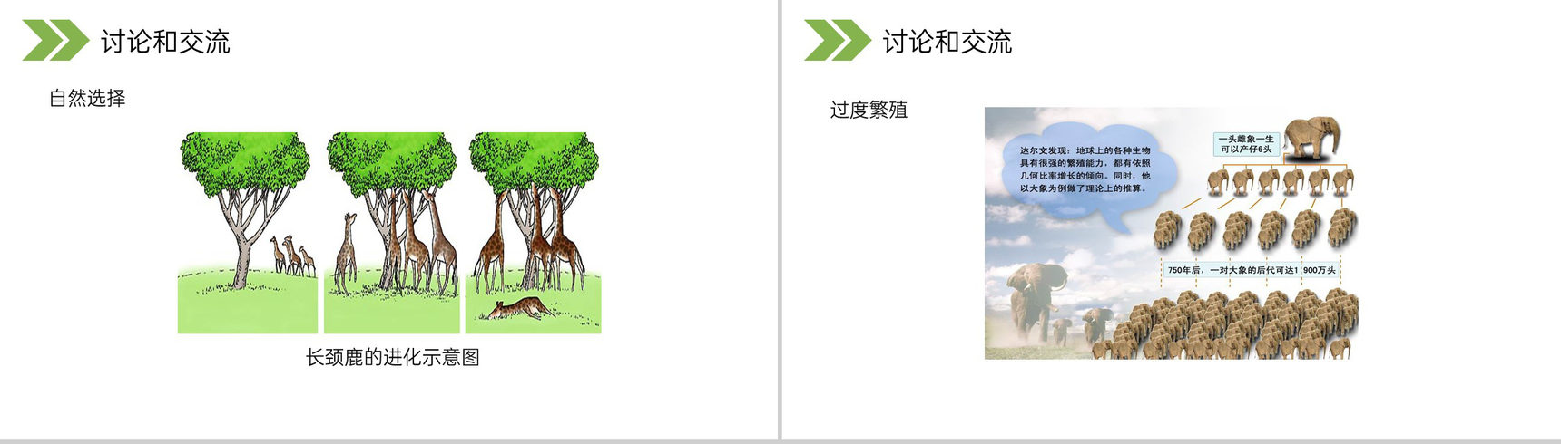 《生物进化的原因》人教版初中生物八年级初二下册PPT课件-13