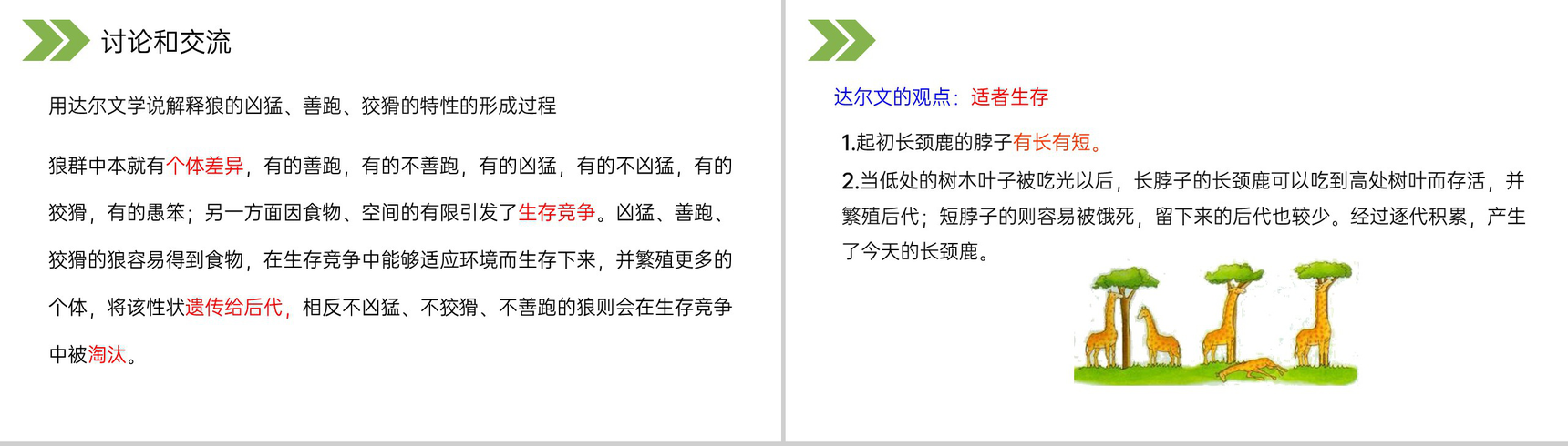 《生物进化的原因》人教版初中生物八年级初二下册PPT课件-15