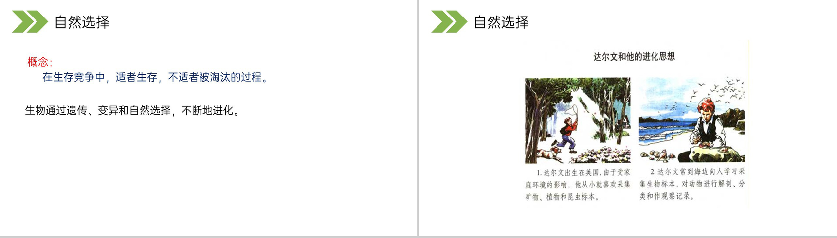 《生物进化的原因》人教版初中生物八年级初二下册PPT课件-17