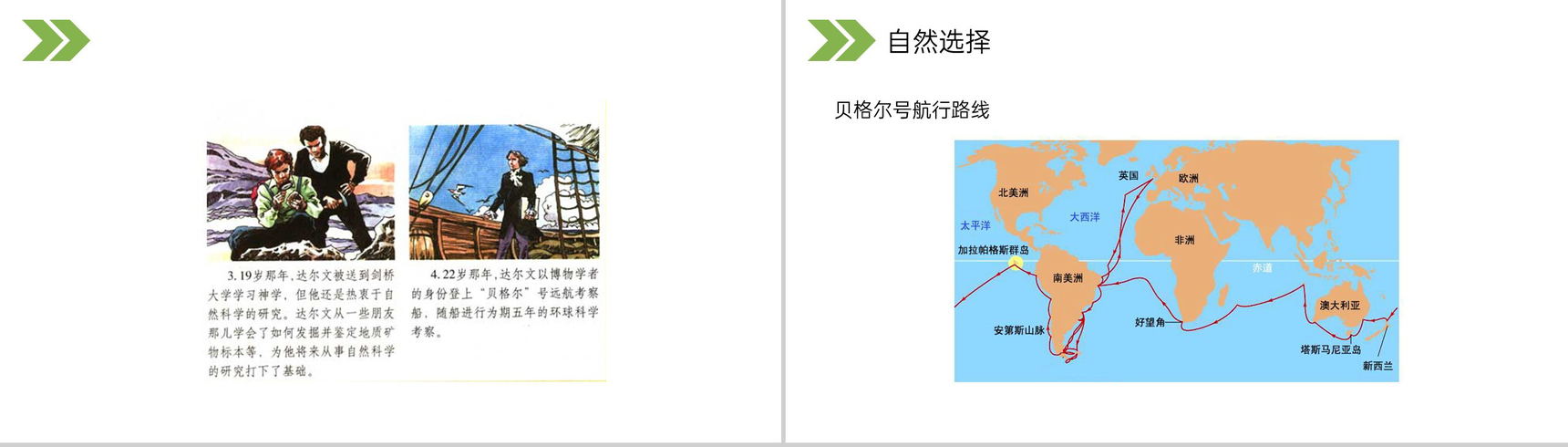 《生物进化的原因》人教版初中生物八年级初二下册PPT课件-18