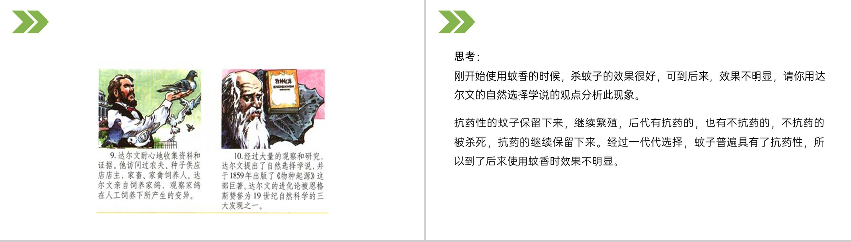 《生物进化的原因》人教版初中生物八年级初二下册PPT课件-20