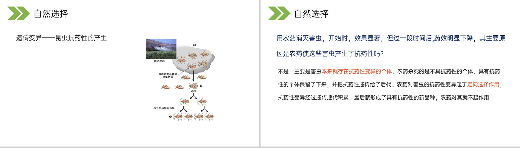 《生物进化的原因》人教版初中生物八年级初二下册PPT课件-21