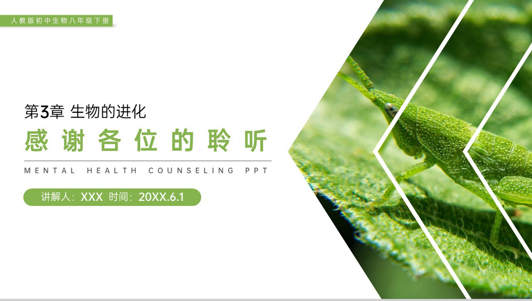 《生物的进化(地球上生命的起源)》人教版初中生物八年级初二下册PPT课件-17