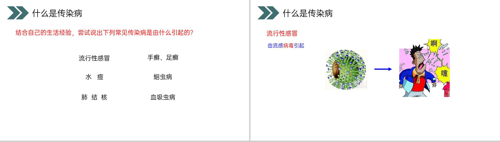 《传染病及其预防》人教版初中生物八年级初二下册PPT课件-4