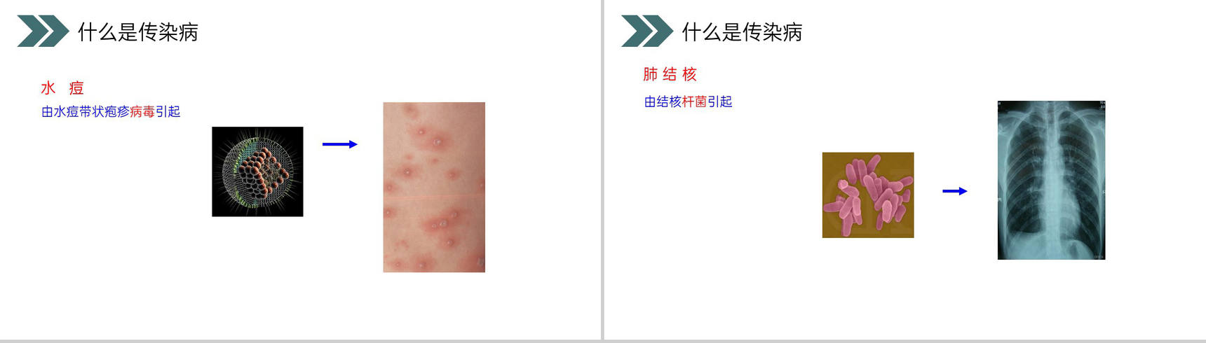 《传染病及其预防》人教版初中生物八年级初二下册PPT课件-5