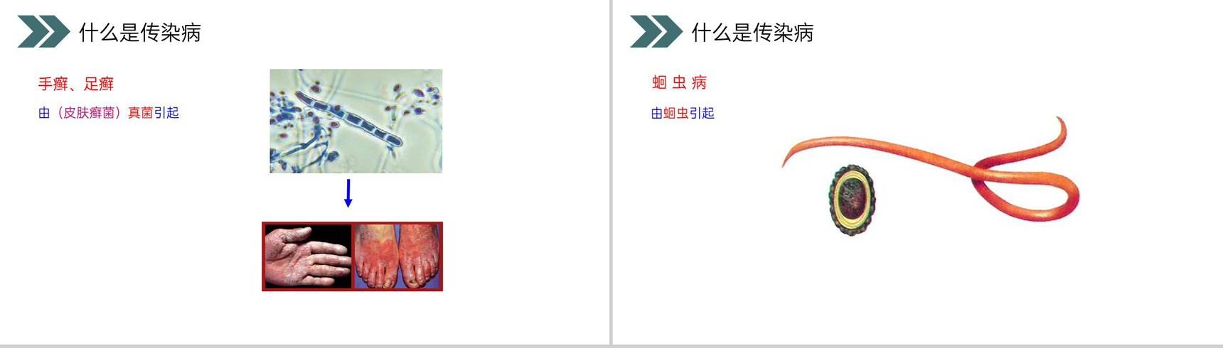 《传染病及其预防》人教版初中生物八年级初二下册PPT课件-6