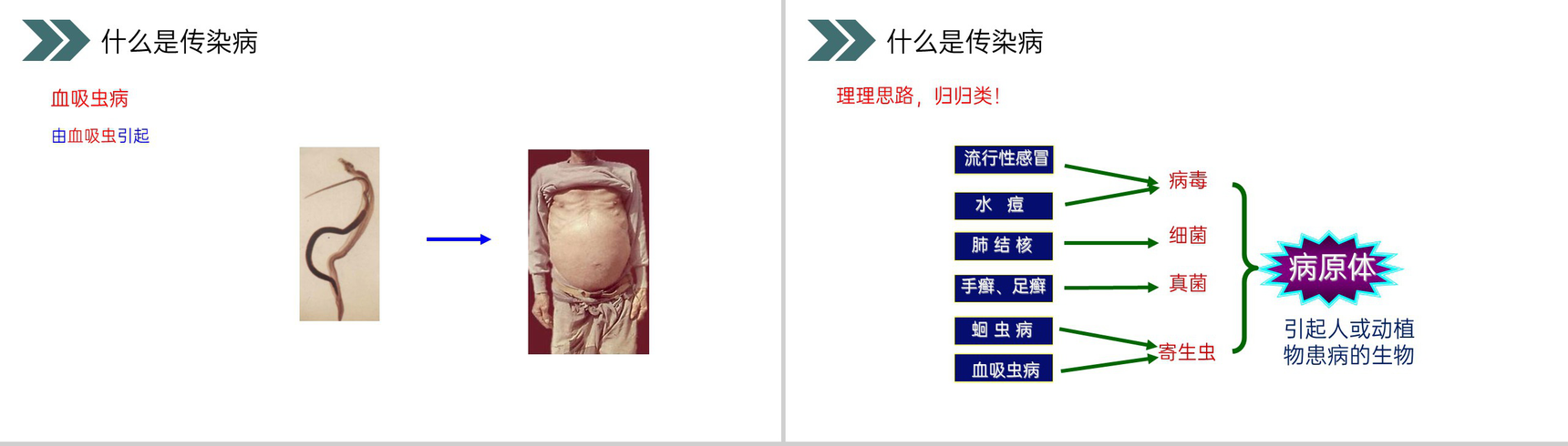 《传染病及其预防》人教版初中生物八年级初二下册PPT课件-7