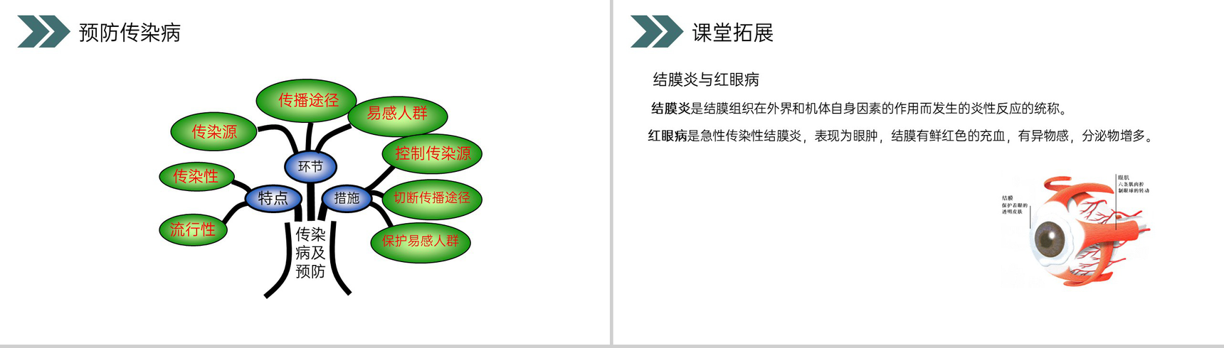 《传染病及其预防》人教版初中生物八年级初二下册PPT课件-15