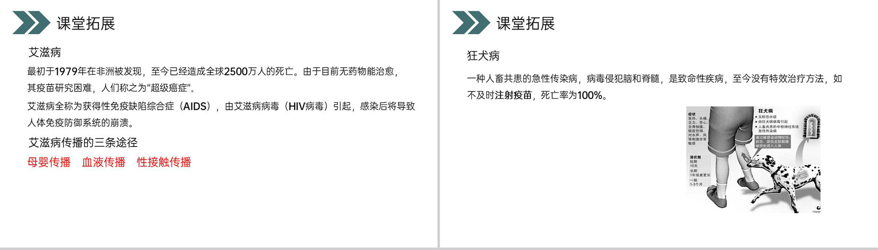 《传染病及其预防》人教版初中生物八年级初二下册PPT课件-16