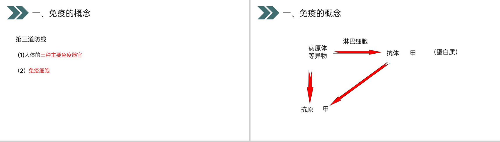 《免疫与计划免疫》人教版初中生物八年级初二下册PPT课件-8