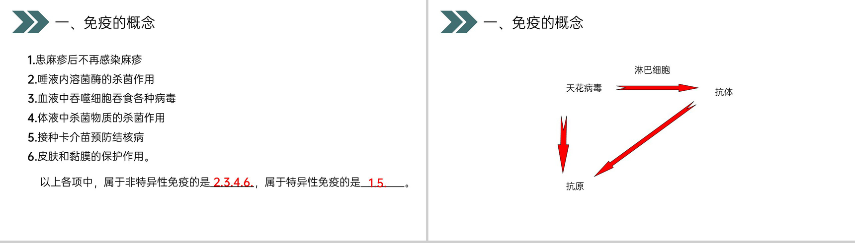 《免疫与计划免疫》人教版初中生物八年级初二下册PPT课件-10