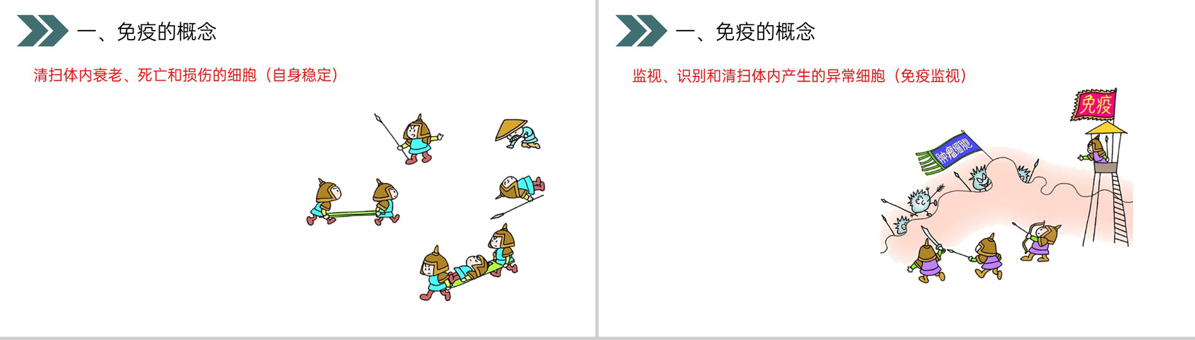 《免疫与计划免疫》人教版初中生物八年级初二下册PPT课件-12