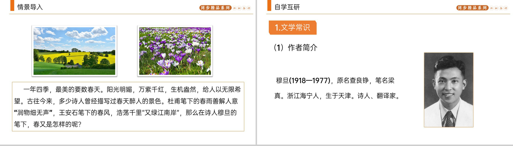 《我看》人教版九年级上册语文PPT课件-2