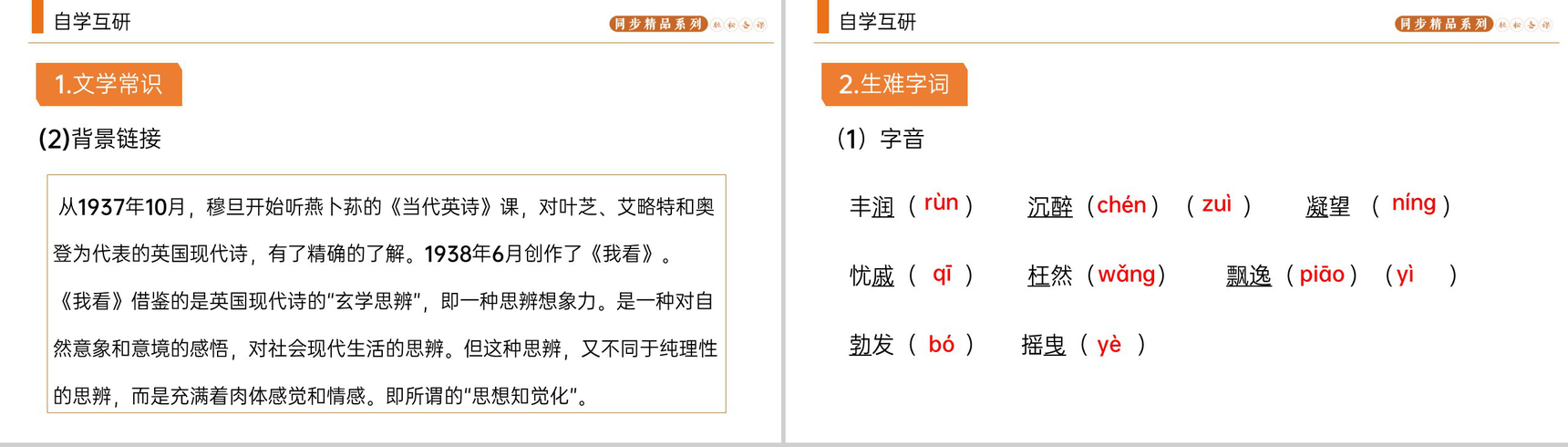 《我看》人教版九年级上册语文PPT课件-3