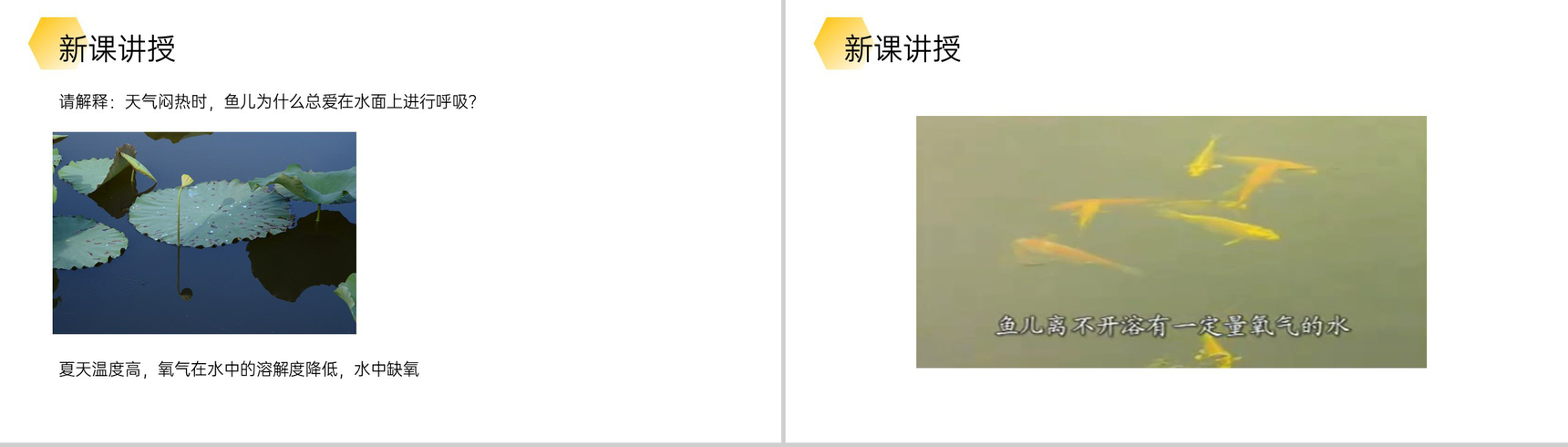 《溶解度》九年级初三下册PPT课件(第9.2.2课时)-11