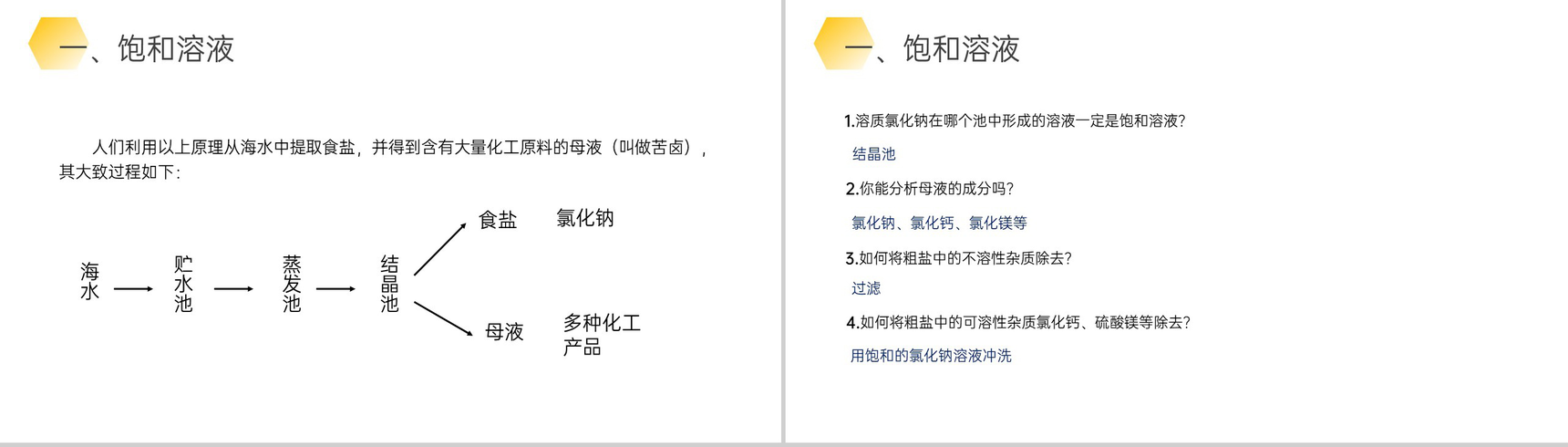 《溶解度》九年级初三下册PPT课件(第9.2.1课时)-10
