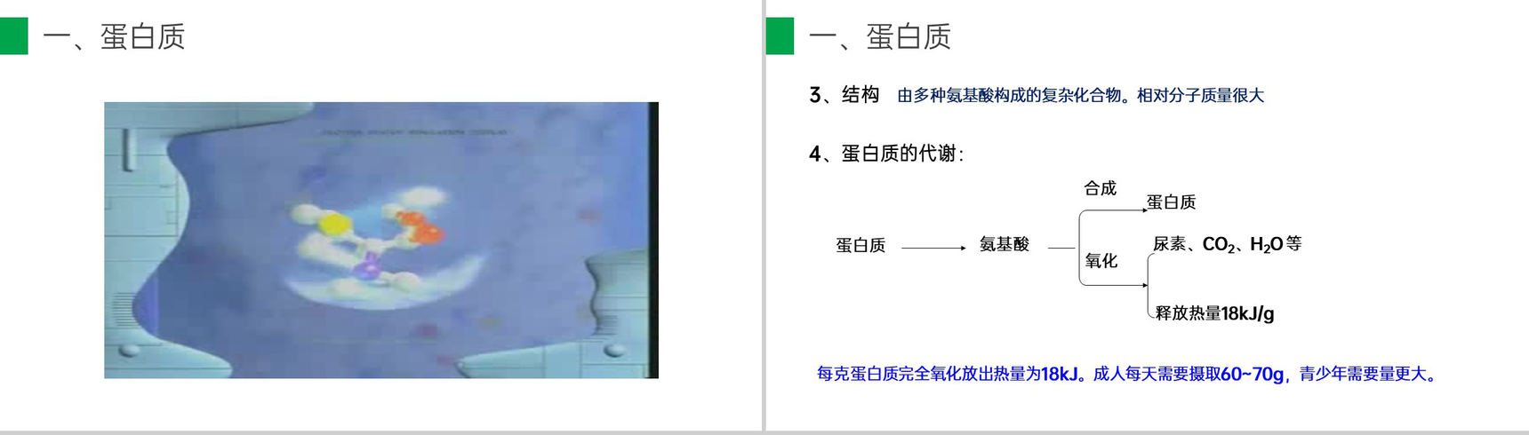 《人类重要的营养物质》九年级初三下册PPT课件(第12.1课时)-4