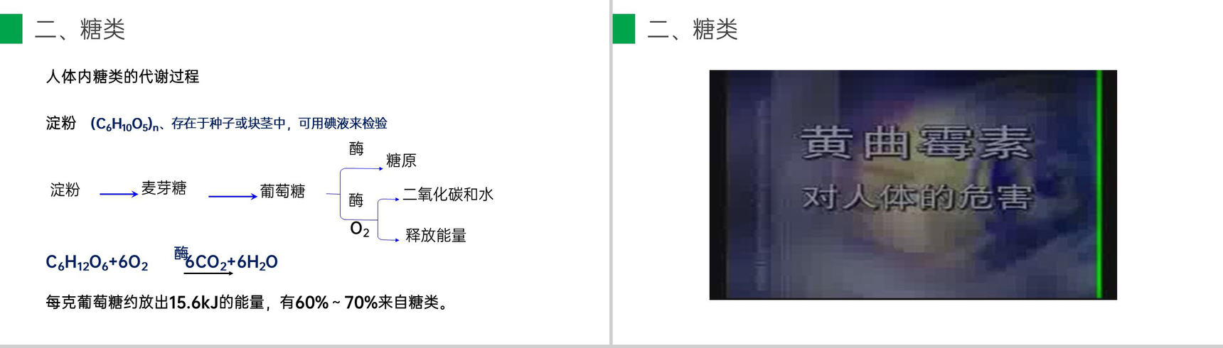 《人类重要的营养物质》九年级初三下册PPT课件(第12.1课时)-8