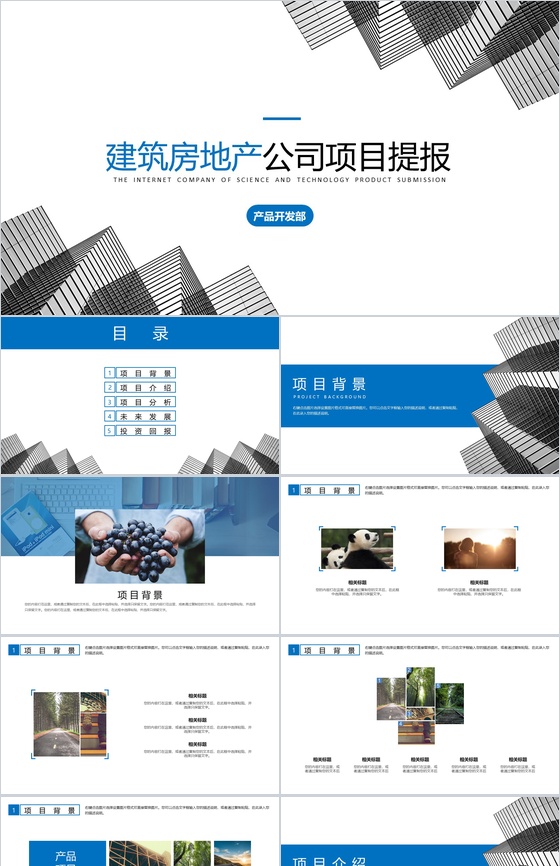 个性房地产公司建筑项目进展进度成果情况汇