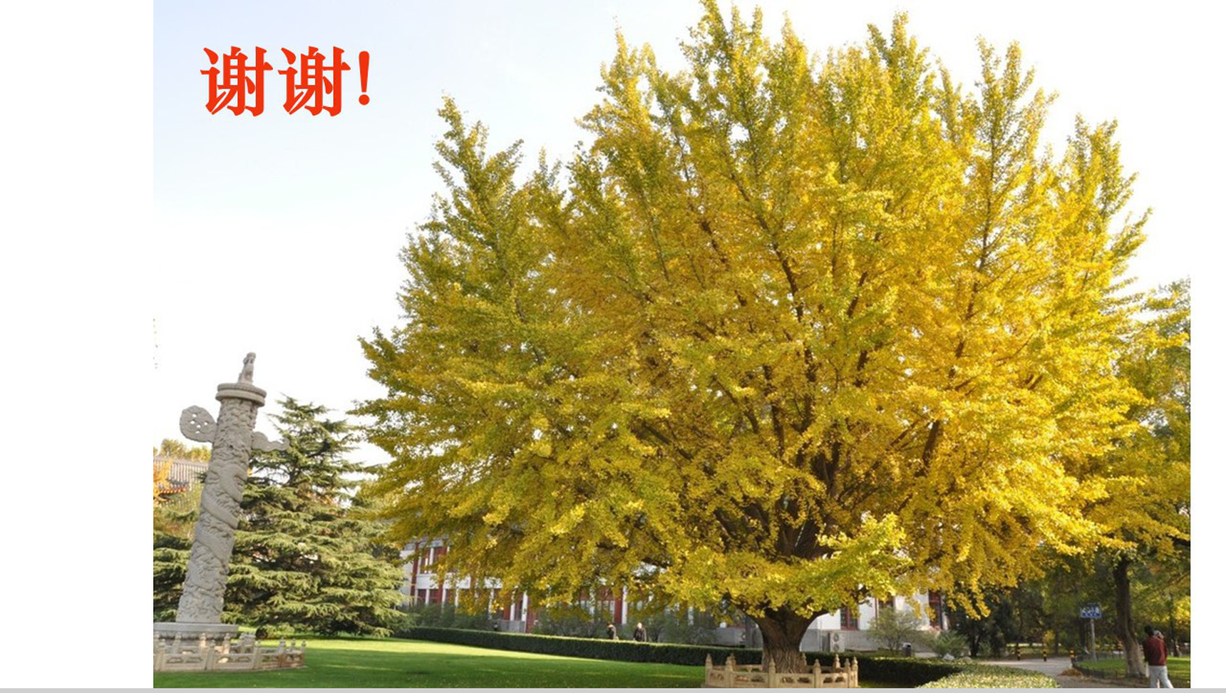 北大学生的成功与家庭教育的关系课程家庭教育PPT模板-15