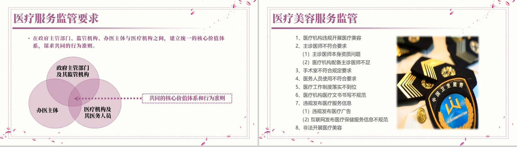 医疗美容服务监督管理PPT模板-7