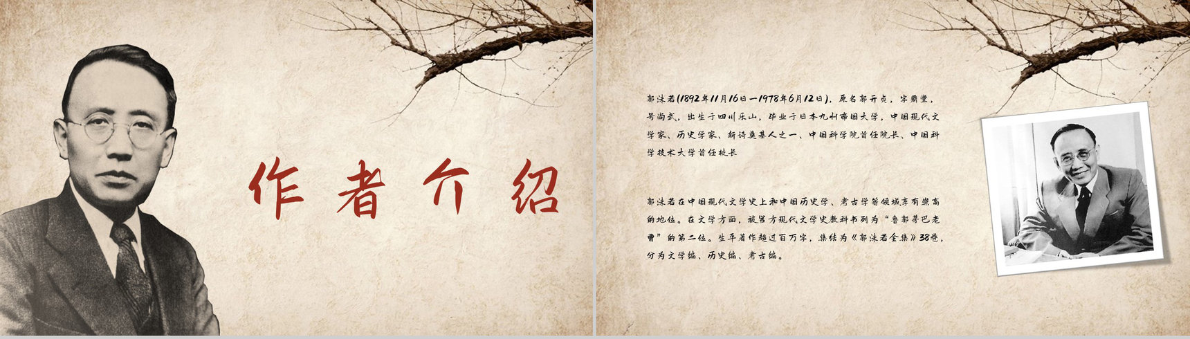 郭沫若创作诗集《女神》作品导读好词好句摘抄鉴赏PPT模板-4