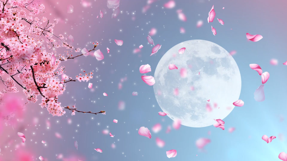 中国风唯美浪漫月下桃花动态背景视频
