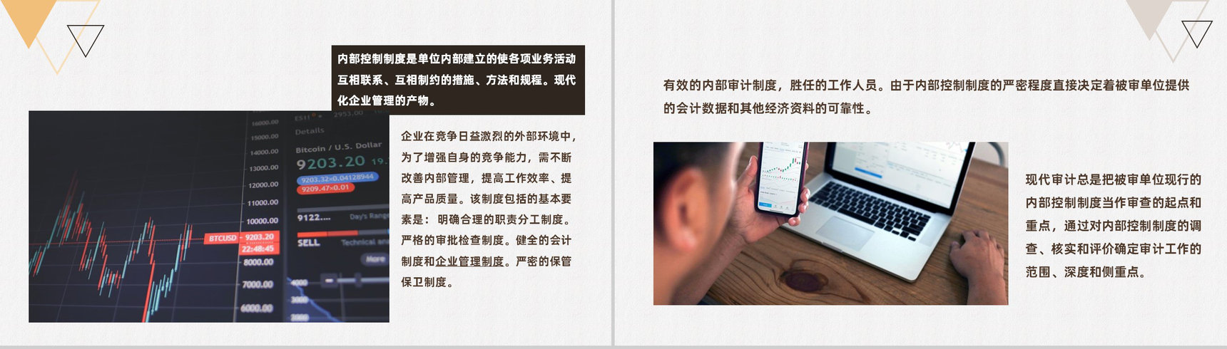 中小型企业内部会计控制应用评价指引总结PPT模板-4