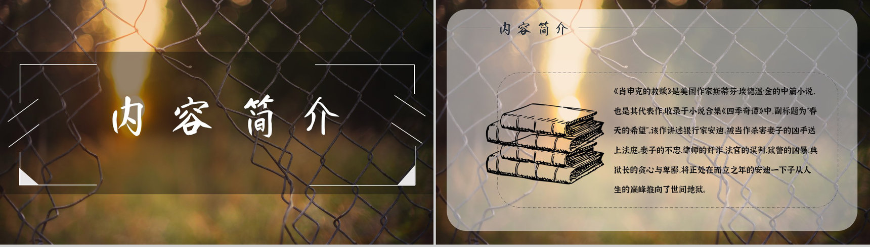 教育培训斯蒂芬金《肖申克的救赎》作者简介心得体会PPT模板-4
