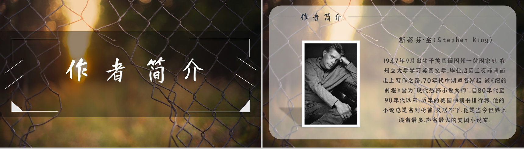 教育培训斯蒂芬金《肖申克的救赎》作者简介心得体会PPT模板-8