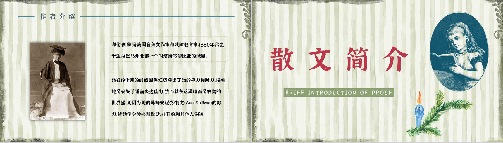 教育教学《假如给我三天光明》作品简介好词好句摘抄整理PPT模板-5