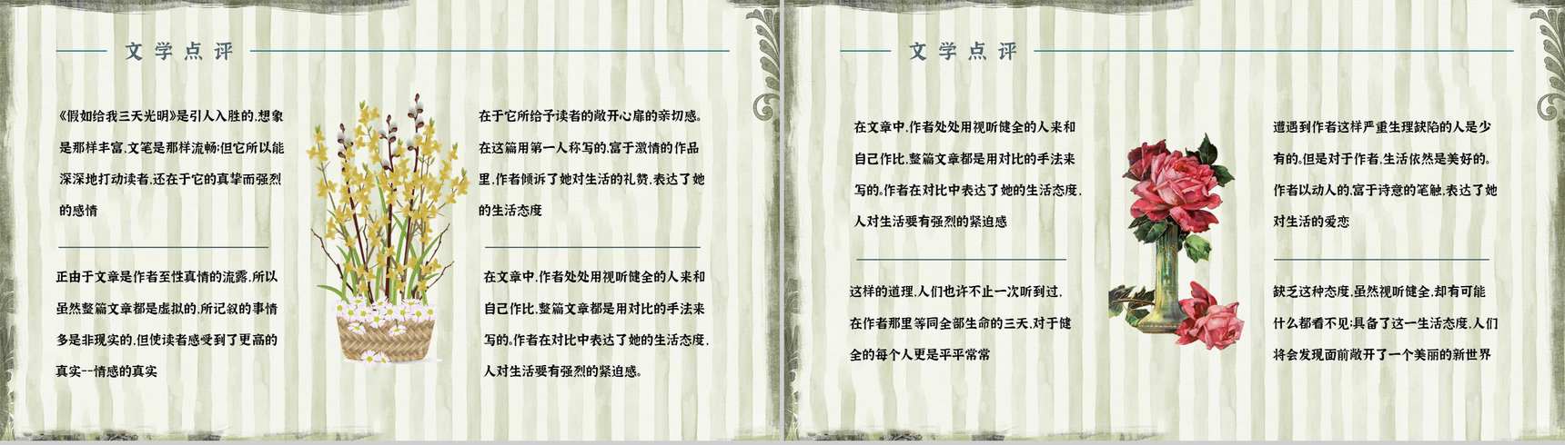 教育教学《假如给我三天光明》作品简介好词好句摘抄整理PPT模板-8
