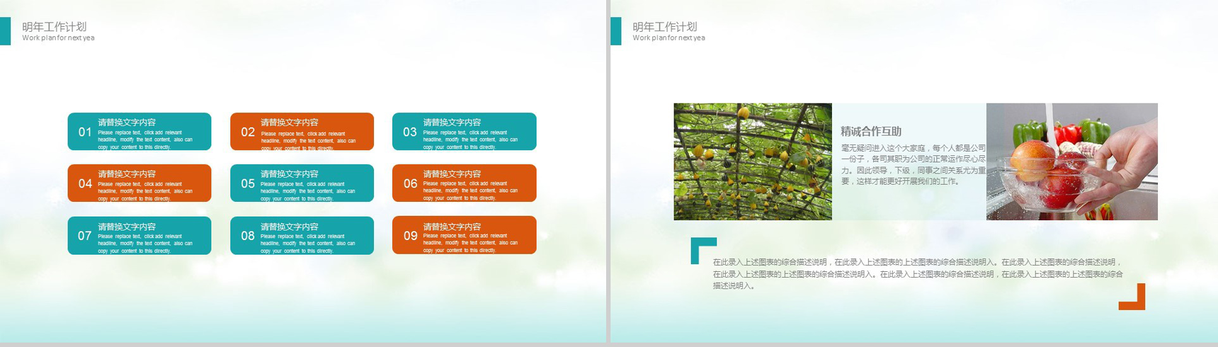 清新绿色有机果蔬产品宣传介绍工作总结PPT模板-12