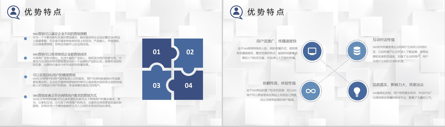 商业计划书SNS营销策划书推广方案工作总结汇报PPT模板-6