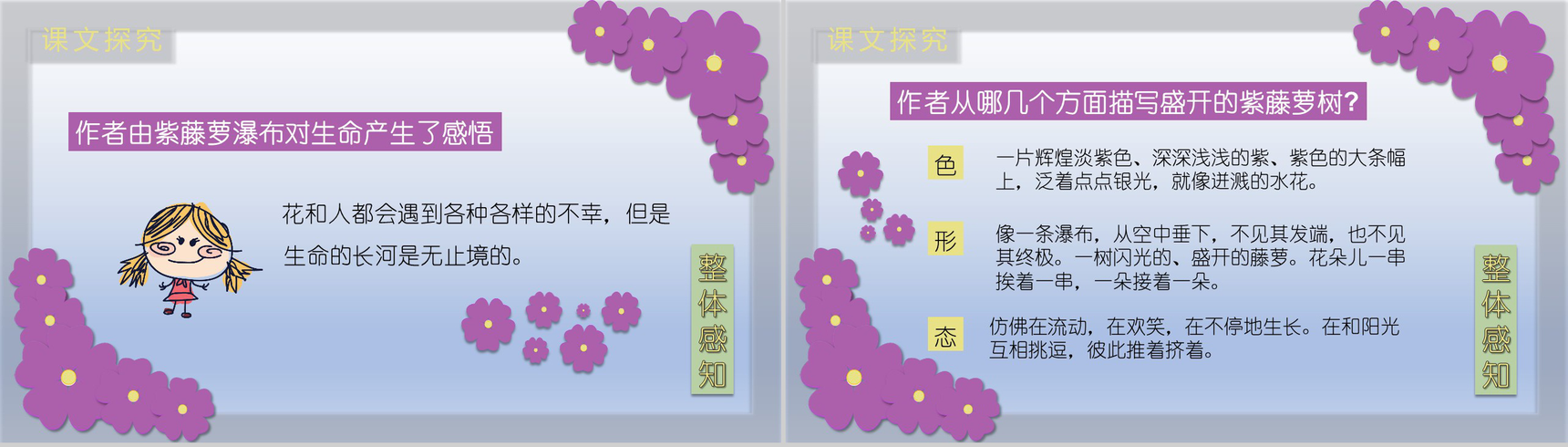 紫藤萝瀑布语文课文教育课件PPT模板-11