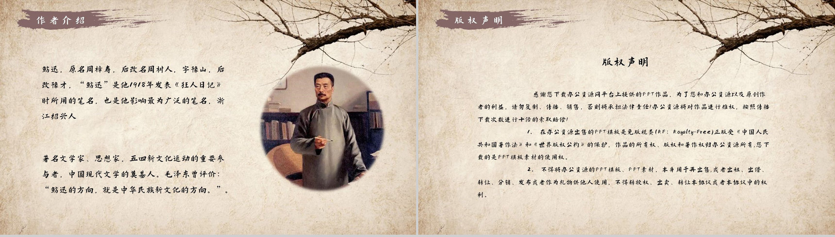 鲁迅代表作《阿Q正传》小说导读经典片段摘抄及鉴赏课件通用PPT模板-11