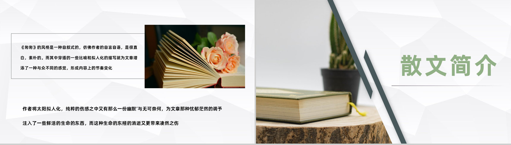 中国现代文学朱自清所著散文《匆匆》读书心得体会交流分享PPT模板-7