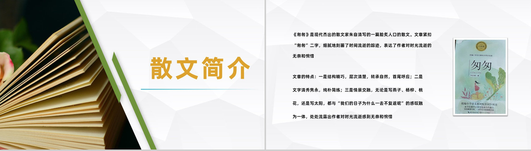 中学生必读散文朱自清《匆匆》文学作品导读片段赏析PPT模板-4