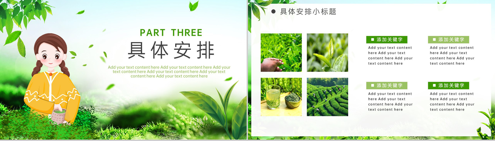 绿色清新卡通风春游采茶季茶叶采摘活动策划PPT模板-6