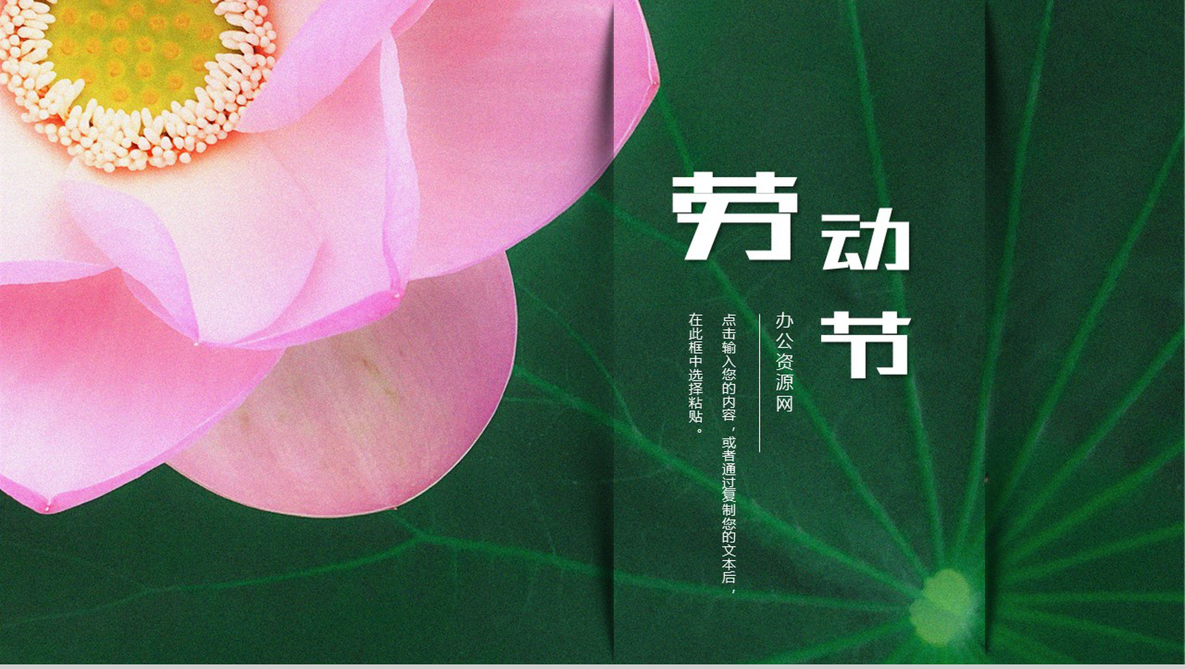 夏季荷花元素五一劳动节PPT模板-1