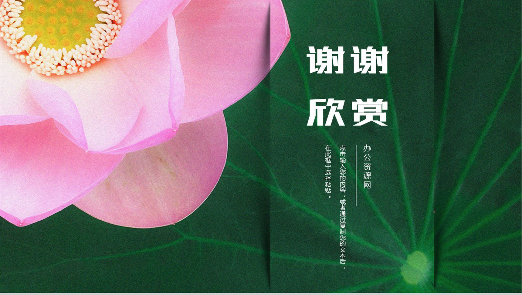 夏季荷花元素五一劳动节PPT模板-10